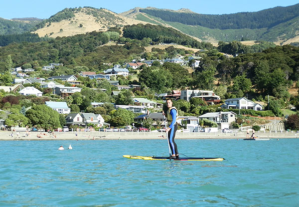 $20 for One Hour of Paddleboarding for Two People or $20 for Two Hours (value up to $80)