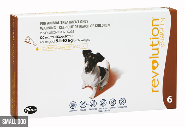 15-Month Supply of Revolution Flea Treatments - Options for Cat, Small Dog or Large Dog