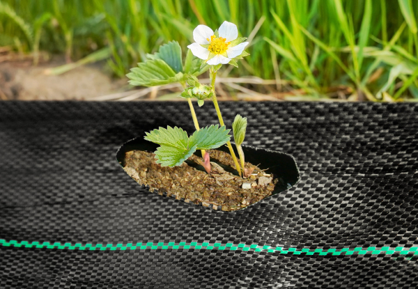 Weed Mat Ground Cover - Four Options Available