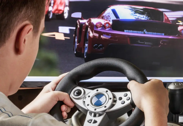 Race Car Simulator at Thrillzone Queenstown from $45
