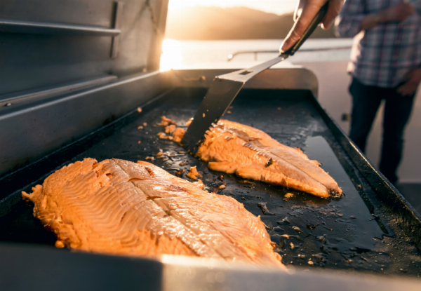 Half-Day Seafood Odyssea Cruise in the Marlborough Sounds - Options for Adult or Child Ticket