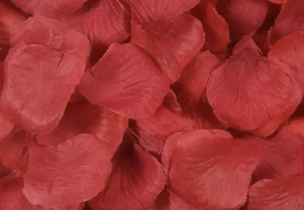 500-Piece Artificial Rose Petals - Option for Two-Pack