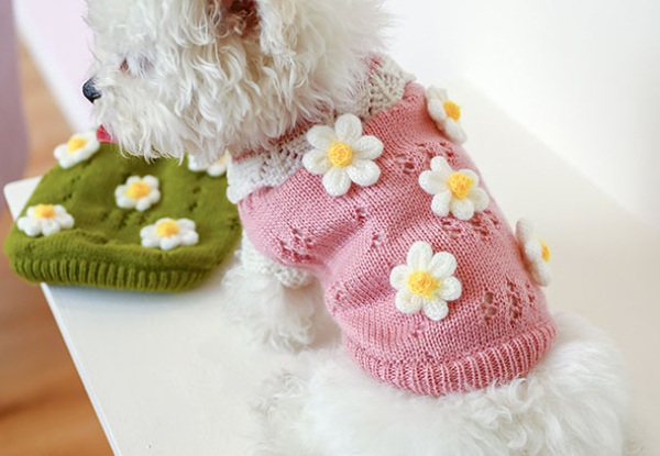 Dog's Winter Coat Sweater Hoodie - Available in Two Colours & Five Sizes