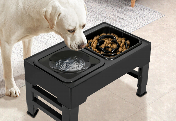 Pawz Elevated Adjustable Pet Feeder - Two Options Available