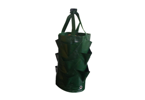 Hanging Strawberry Planting Bag - Three Colours Available & Option for Three-Pack