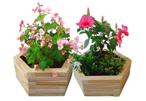 From $31.50 for a Hexagon Planter Box – Four Sizes Avaialble