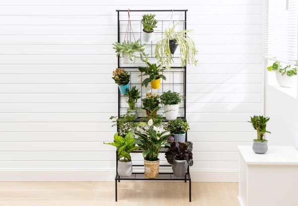 Three-Tier Metal Hanging Plant Stand