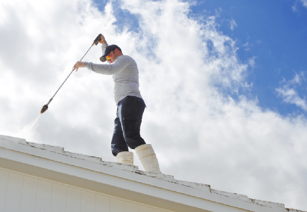 Roof Treatment for Moss, Mould, Lichen incl. Roof & Gutter Inspection for a Two-Bedroom Home - Options for Five-Bedroom Home