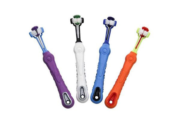 Three Sided Dog Tooth Brush - Four Colours Available