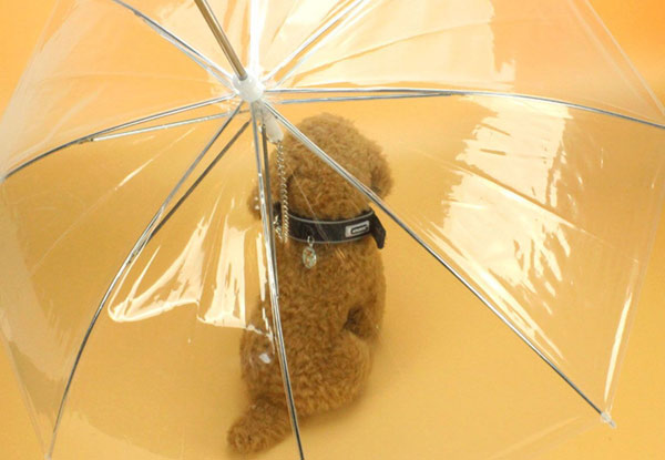 Dog Umbrella with Leash - Free Nationwide Delivery