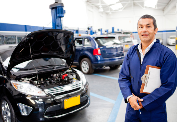 Comprehensive Vehicle Service & Diagnostic Scan - Options for Petrol or Diesel Vehicles