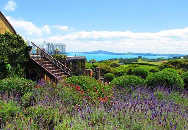 Waiheke Wine Tour & Fishing Charter for One Person - Options for up to Four People