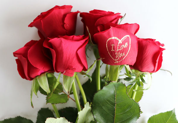 Six or Twelve Celebration Bouquet of Roses with any Custom or Standard Printed Message on One or Two Roses incl. Free Auckland Delivery - Choose from Four Different Colours