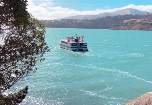 Quail Island Return Trip from Black Cat Cruises, Lyttelton Harbour - Options for Adults & Children