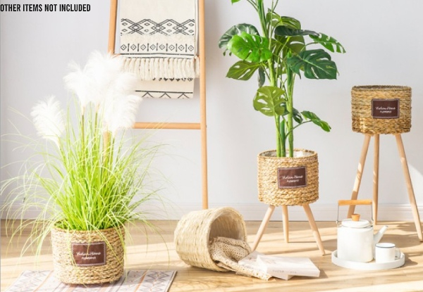 Straw Woven Plant Pot - Three Sizes Available
