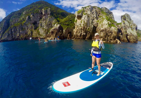 Full Day Luxury Boat Trip to the Poor Knights Islands for One incl. Lunch, SUP Hire & Guided Exploration - Options for Two, Four or Eight People Available