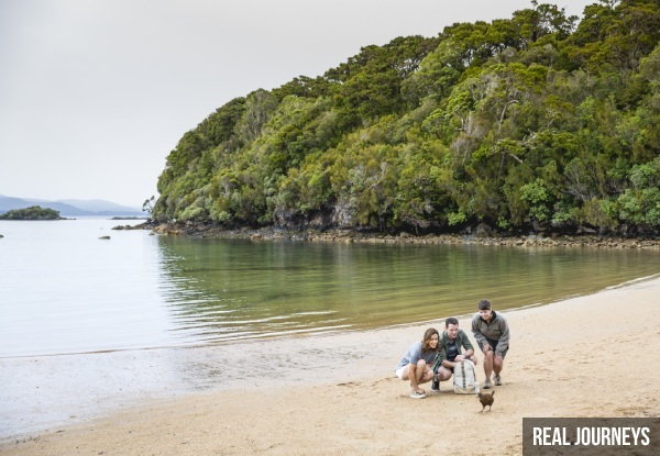 Three-Night Rakiura (Stewart Island) Escape incl. Accommodation, Sightseeing & More for Two People - Option to incl. Scenic Flight Back to Invercargill