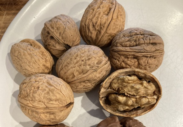 New Season New Zealand Grown Walnuts - Options for 2kg & 4kg