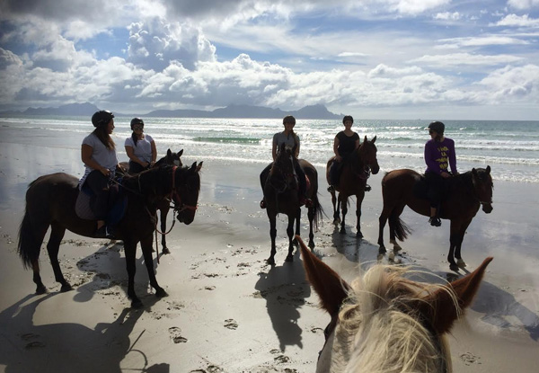 One-Hour Sundown Beach Horse Ride for Two People - Option for Four People