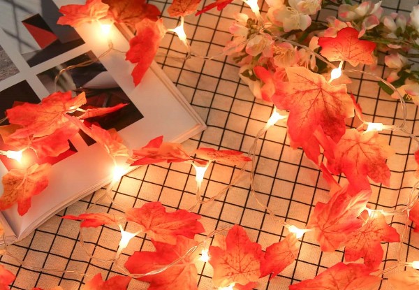 Maple Leaves String Lights with Free Delivery