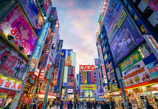 Per-Person Twin-Share 14-Day Timeless Japan Tour incl. International Flights, Accommodation, Admission & Sightseeing Fees, English Speaking Guide & More - Option for a Solo Traveller Available