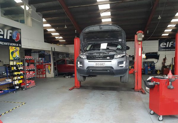 Basic Vehicle Service - Option for a Comprehensive Extensive Service incl. Headlight Polish