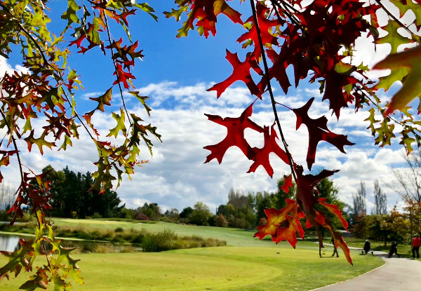 Round of Golf at Pegasus Golf Club, Home of the 2019 NZPGA Championship for One Person - Options for Two & Four People Available - Valid Seven Days from 11th March