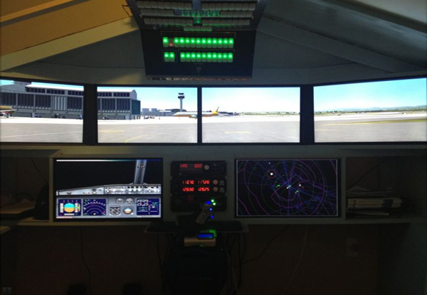 One-Hour Virtual Flight Simulation for One Person - Option for Two Hours