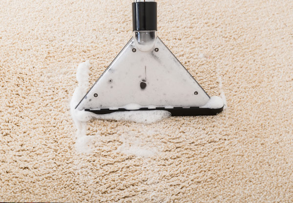 Carpet Shampoo - Options for a One to Five-Bedroom House