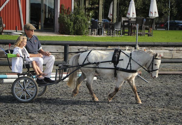 Kids' Pony Party for up to 12 Children incl. Venue Hire, Two Ponies for Pony Rides, Miniature Carriage Rides & Staff Supplied