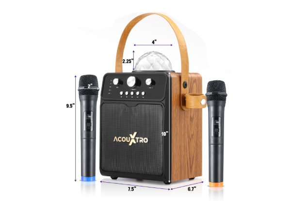 Portable Karaoke Machine with Two Microphones