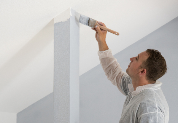Professional Painter Hire for Two Hours - Options for Two Painters & up to Eight Hours