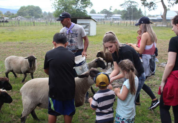 Ultimate Kiwi Farm Experience & Sheep Shearing Show incl. $5 off the 3D Trick Art Entry or $5 off the Farm Buffet - Options for Adult, Child or Family Pass