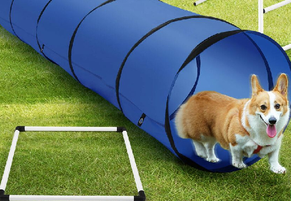 Seven-Piece Dog Obstacle Course Set incl. Weave Poles, Jump Kits, Tunnel & More