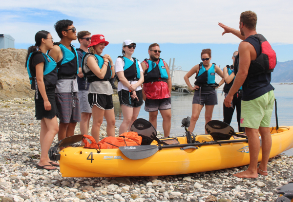 2.5 - 3 Hour Guided Kaikoura Seal & Marine Life Kayaking Experience for One Adult - Options for Child, Two Adults or Four Adults