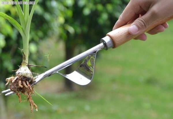 Weed Removing Tool