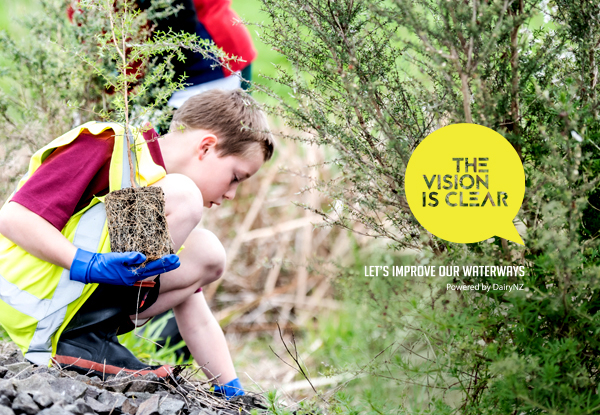 Do Something Treewarding - Donate a Tree to Help Our Waterways