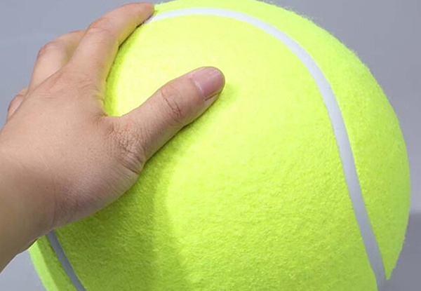 Two Giant Tennis Ball Pet Toys