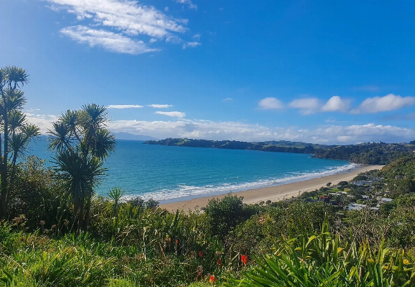 Half-Day Scenic Wine & Vineyard Lunch on Waiheke - $268.30 per Adult — photo 6