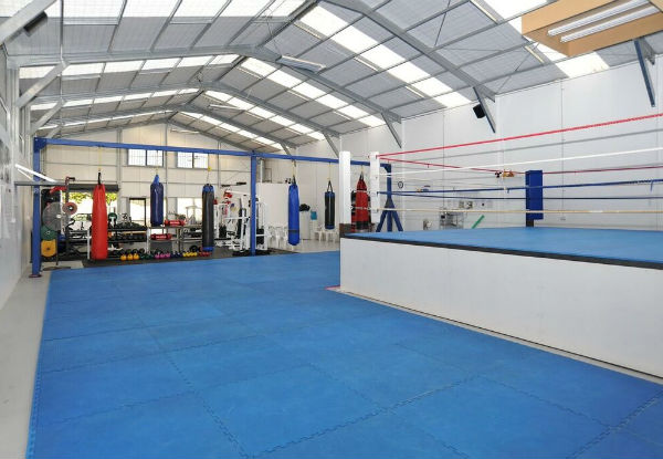 Unlimited Boxfit Classes incl. Nutritional Seminar with Knockout Training Systems - Valid at Woolston Location Only