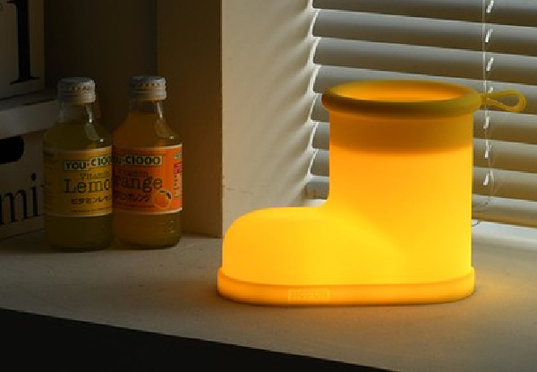 Rechargeable & Adjustable Lamp with Timer