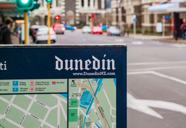 Dunedin City Adventure Game for Two People - Options for up to Five People