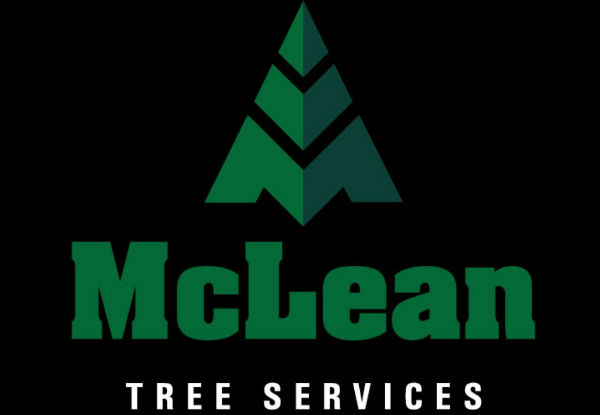 Two-Man Crew for Two Hours of Professional Tree Work Services incl. Tree Pruning, Shaping, Hedge Trimming, & Mulching - Option for Three Hours