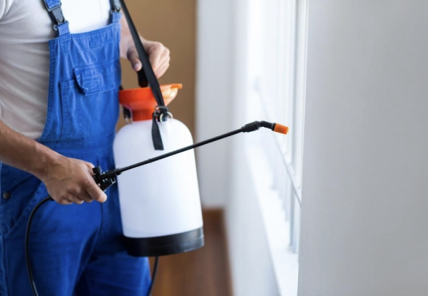 Inside or Outside Pest Control Service - Options for Three to Five Bedroom Homes