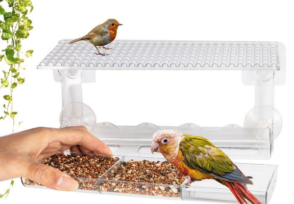Outdoor Clear Window Mounted Bird Feeder - Option for Two