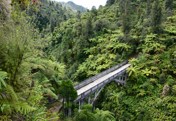 Per Person Exhilarating Seven-Day North Island Mountain Bike Tour incl. Guides, Transport, Excursions (Jet Boat/Cultural Exp), Breakfasts & More - options for Shared or Private Accommodation