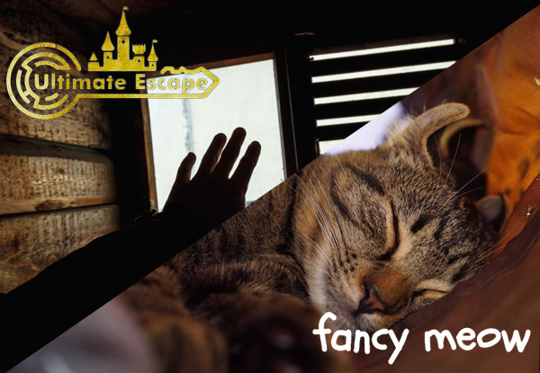 Two-Hour Experience - 60-Minutes of Ultimate Escape Room & 60-Minutes Playfulness & Cuddles with the Cats at Fancy Meow Cat Cafe