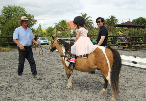 Kids' Pony Party for up to 12 Children incl. Venue Hire, Two Ponies for Pony Rides, Miniature Carriage Rides & Staff Supplied