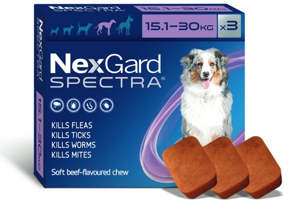 Three-Pack Nexgard Spectra Dog Flea, Tick & Worm Treatment  - Five Options Available