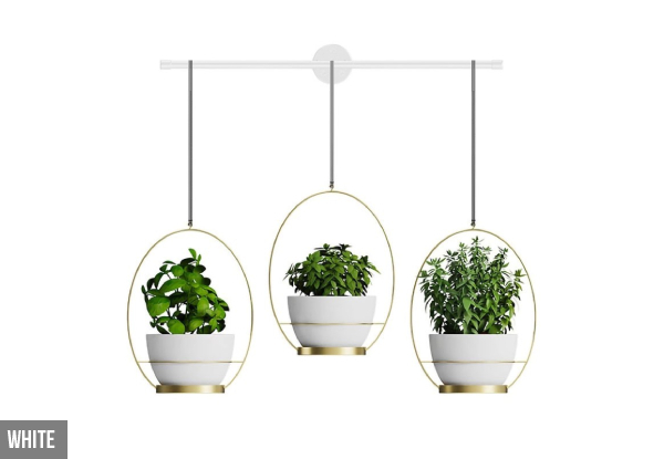 Three-Pot Wall Hanging Kitchen Planter Rack - Two Colours Available